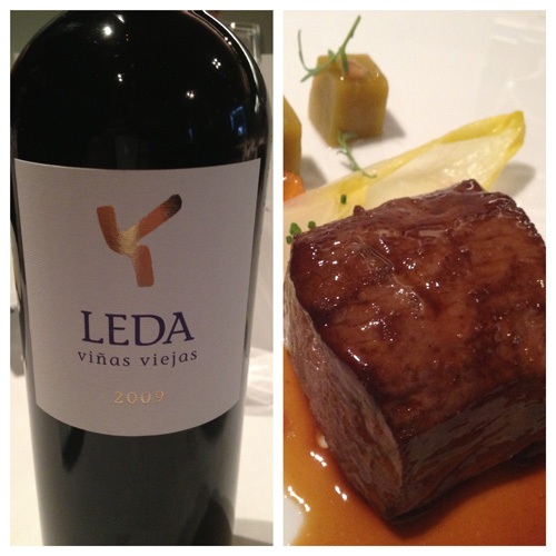 Leda Viñas Vieja 2009